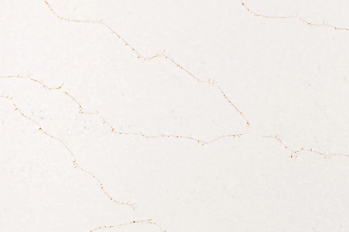 Coante 9091 Calacatta Vivaldi Gold Tezgah uygulama görseli